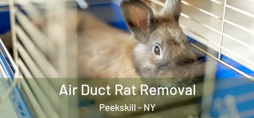  Air Duct Rat Removal Peekskill - NY