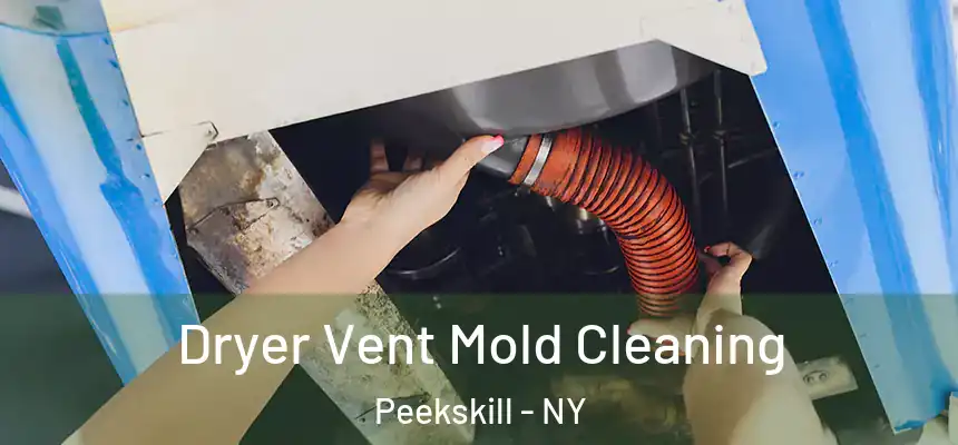 Dryer Vent Mold Cleaning Peekskill - NY