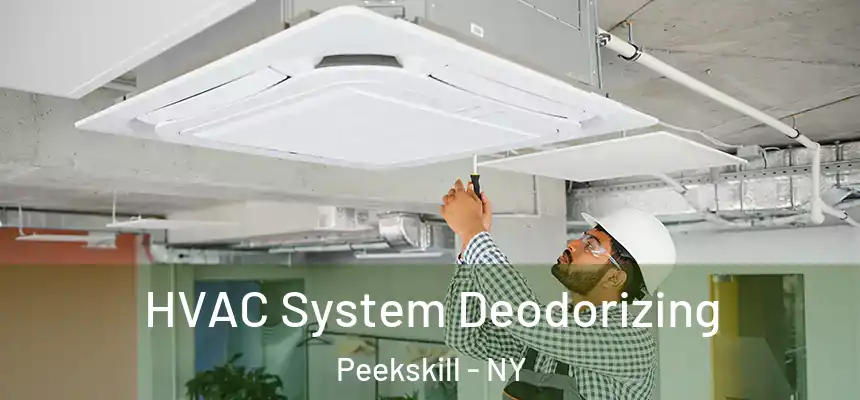  HVAC System Deodorizing Peekskill - NY