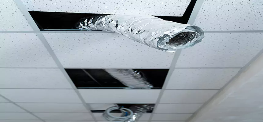 Our Air Duct Pet Hair Removal Services in Peekskill, NY