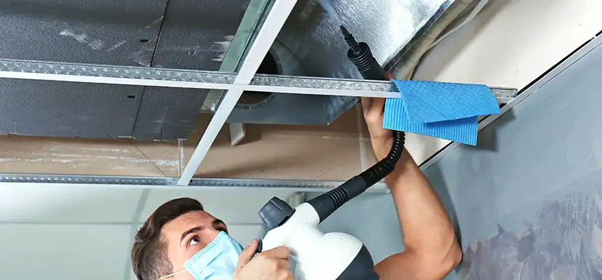Our Air Duct Rodent Removal Services in Peekskill, NY