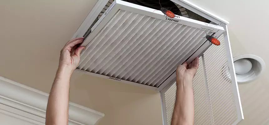 Our Insect Removal from Air Ducts Services in Peekskill, NY