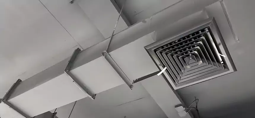 Our Rodent Droppings In Vents Services in Peekskill, NY