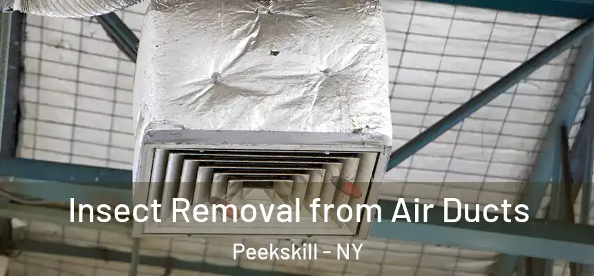  Insect Removal from Air Ducts Peekskill - NY