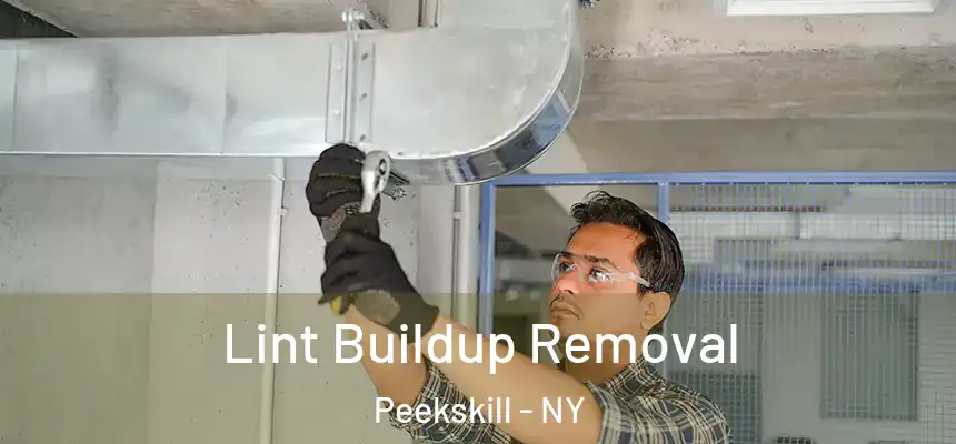  Lint Buildup Removal Peekskill - NY