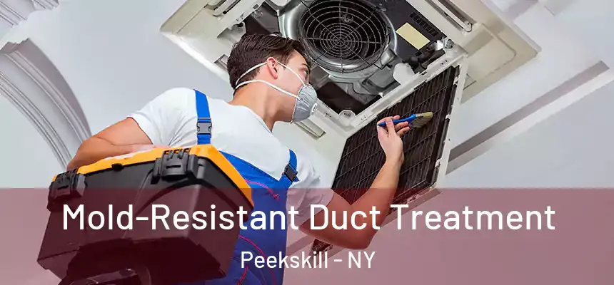  Mold-Resistant Duct Treatment Peekskill - NY