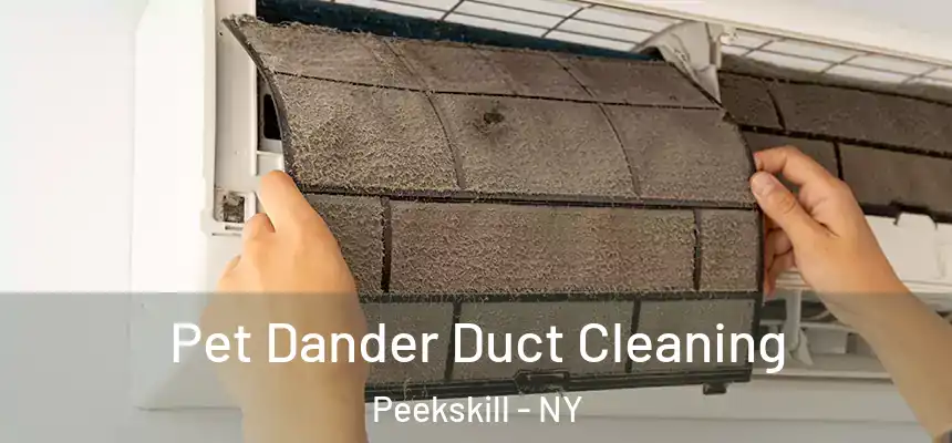  Pet Dander Duct Cleaning Peekskill - NY