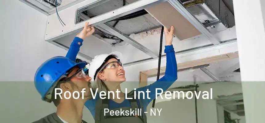 Roof Vent Lint Removal Peekskill - NY