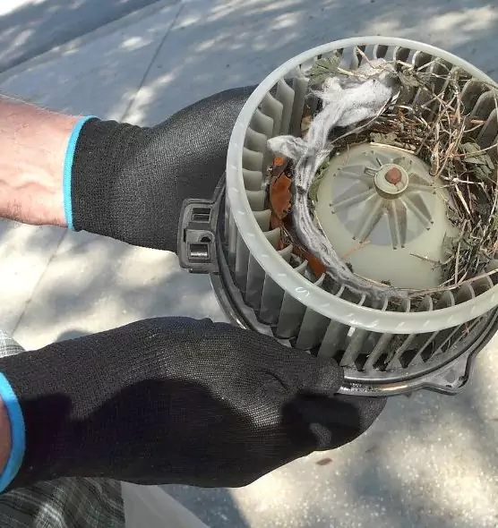 About Air Duct Mice Removal in Peekskill, NY