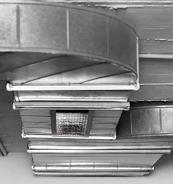 Professional Air Duct Pest Removal in Peekskill, NY