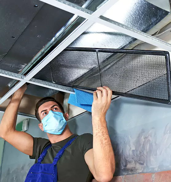 Professional Air Duct Pollen Cleaning in Peekskill, NY