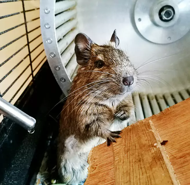 Why Homeowners & Businesses Trust Us Peekskill, NY